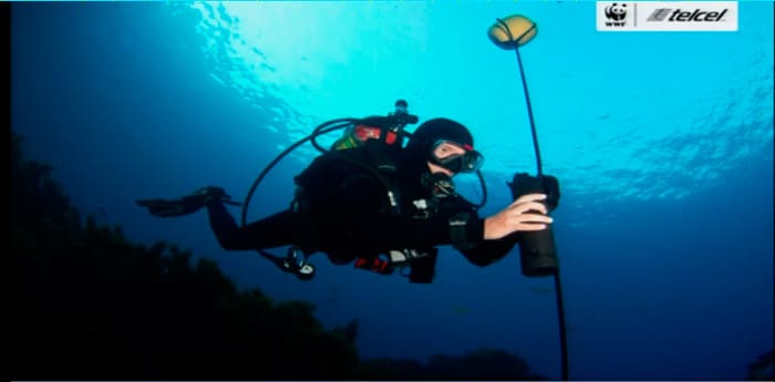 Aldea Digital - WWF-Telcel