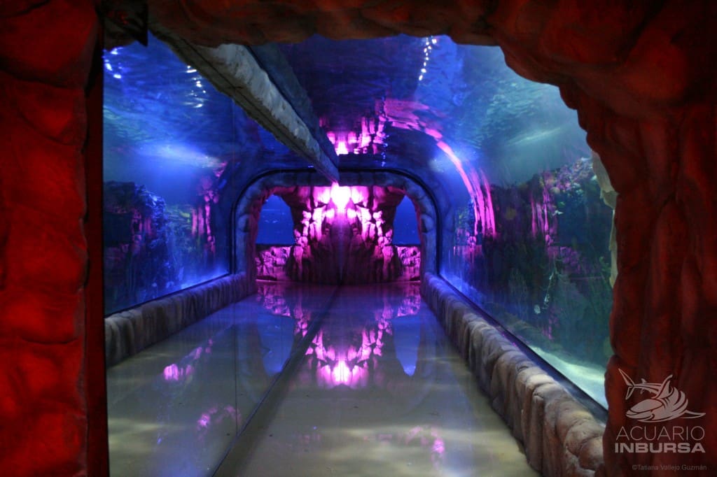 Acuario Inbursa