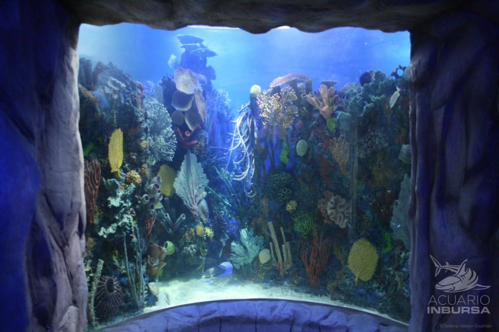 Acuario Inbursa
