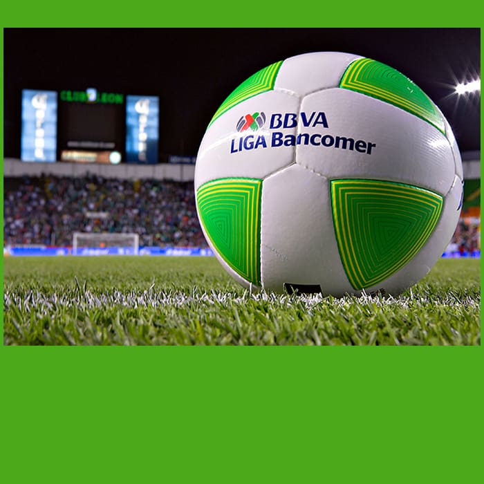 Finalistas de la Liga MX
