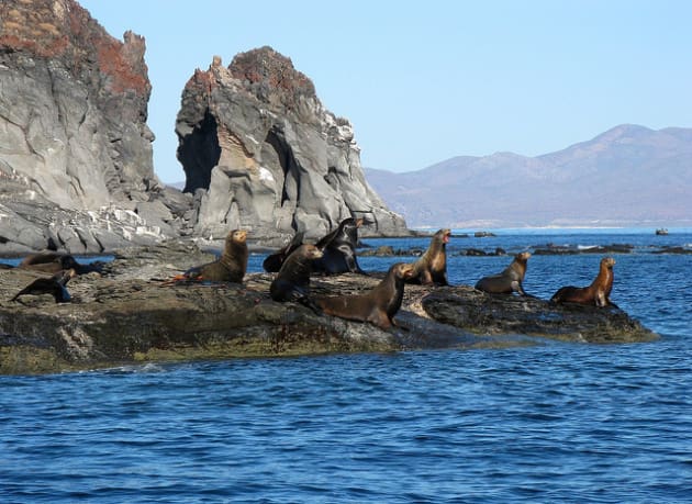 Día de la Biodiversidad