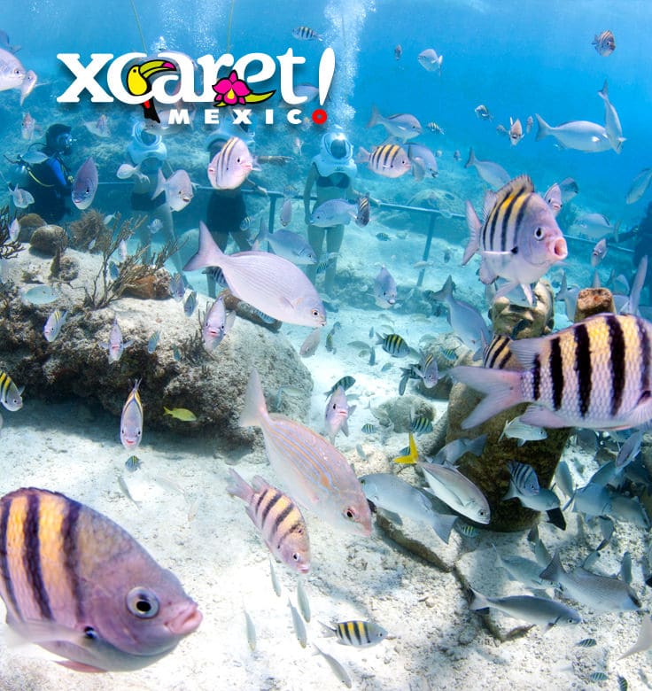Promoción Xcaret CírculoAzul Telcel