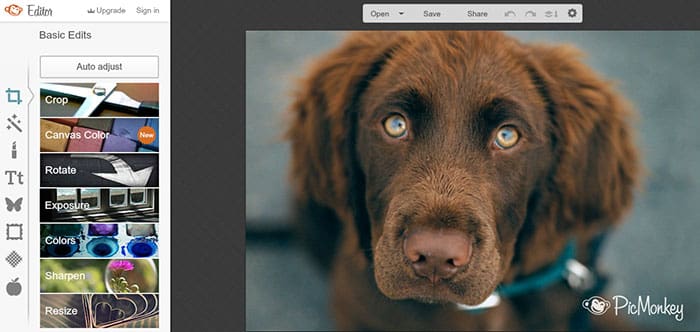 PicMonkey editor de fotos online
