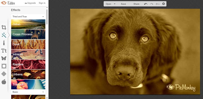 PicMonkey editor de fotos online