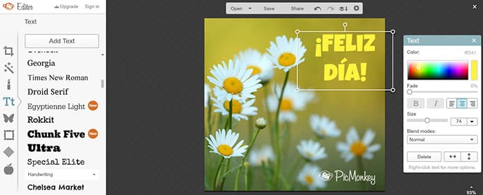 PicMonkey editor de fotos online