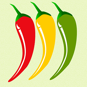 Mis recetas mexicanas tradicionales