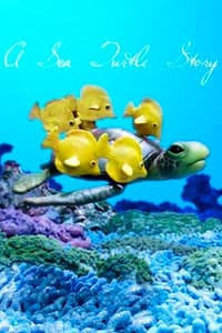 turtle-story