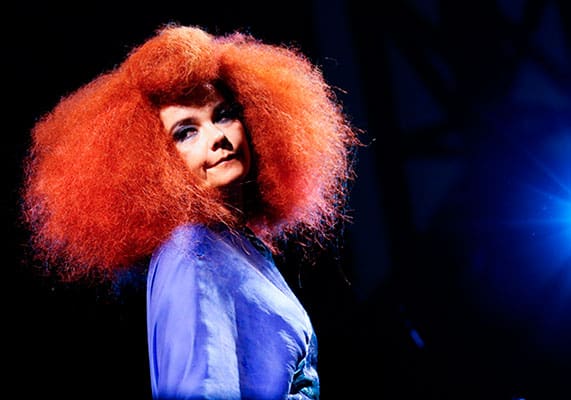 Bjork-3