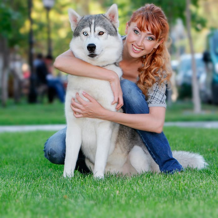 Apps para cuidar a tus mascotas