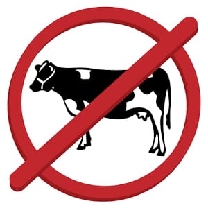 animal free