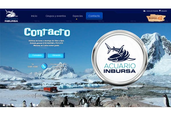 contacto