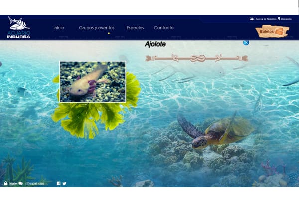 especies a detalle