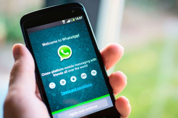 whatsapp-ninja