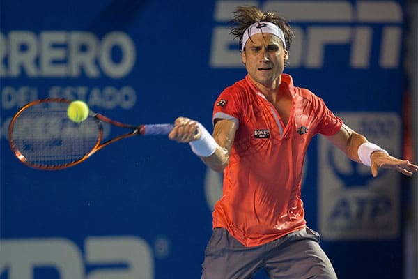 david-ferrer