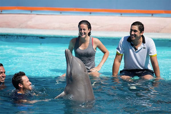 delfines