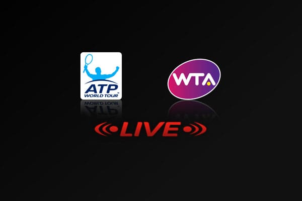 live abierto mx
