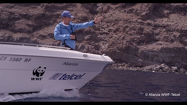 wwf-tiburon