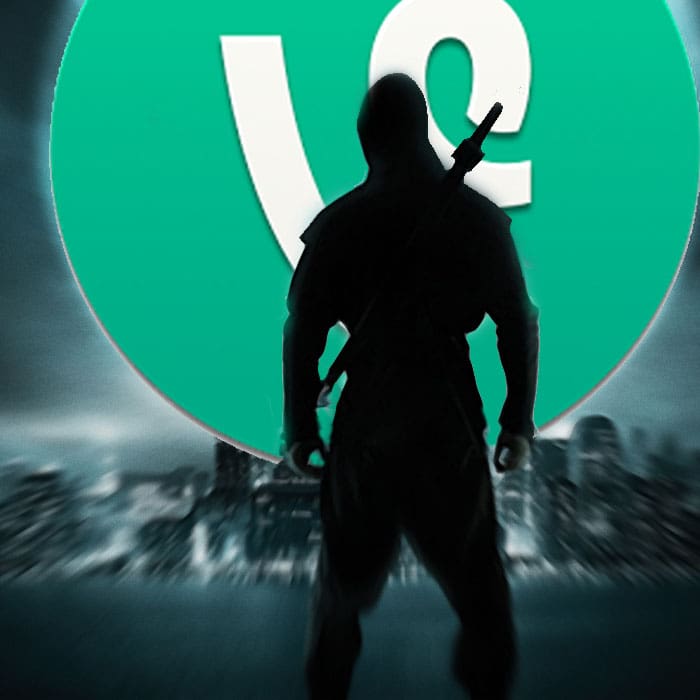 Ninja de Vine