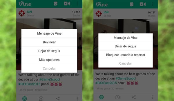 Vine 3