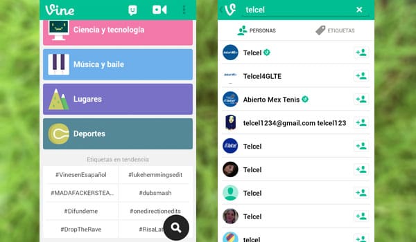 Vine 4