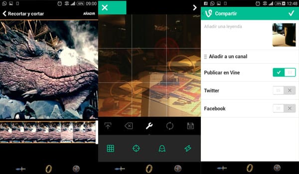 Vine 6