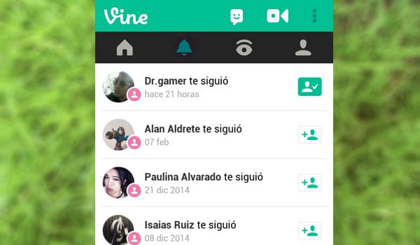 Vine 7