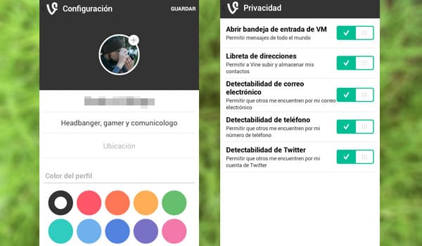 Vine 8