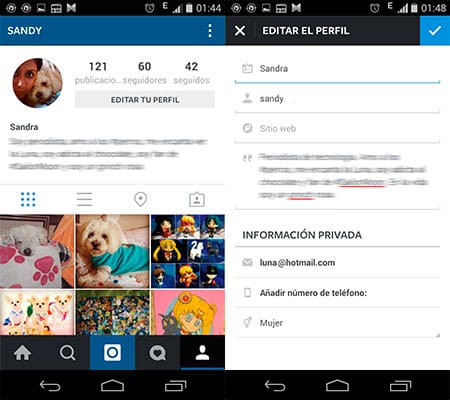 instagram-perfil