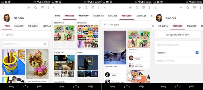 pinterest-perfil