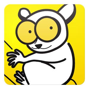 Tarsii