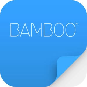 bamboo