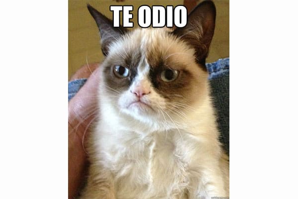 hater