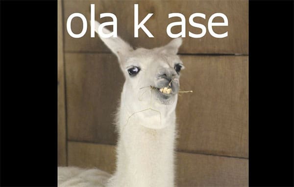 ola-k-ase