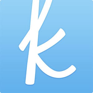 the-knot-wedding-planner