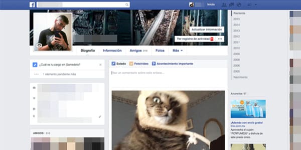Gato gif face