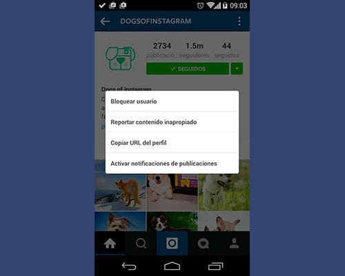 instagram-notificaciones