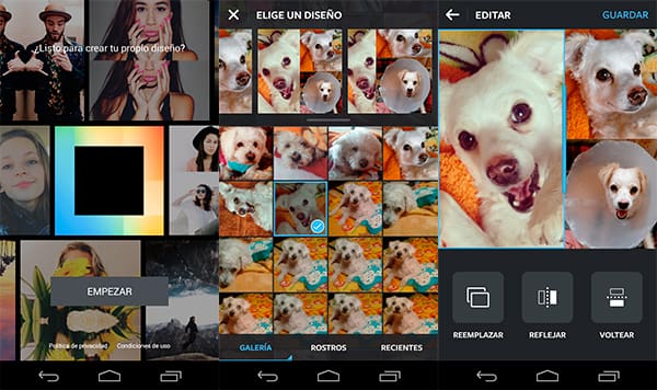 layout-2
