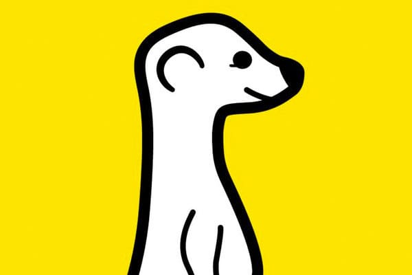 meerkat