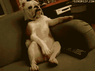 ver tv ok