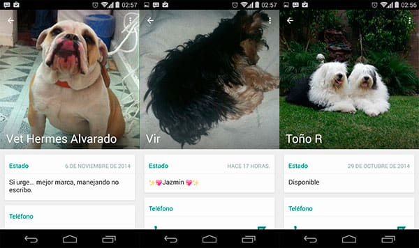 whatsapp-contactos