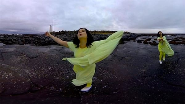 Bjork-stonemilker-2