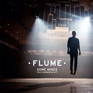 Flume Some Minds