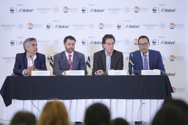 Jaguar en México