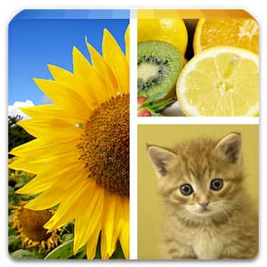 foto-collage-editor
