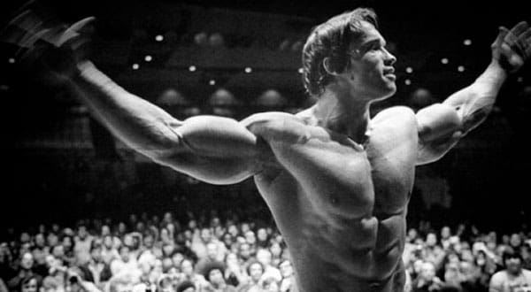 Arnold 1