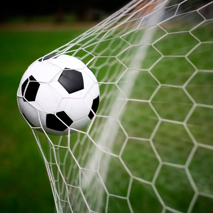 Copa de Oro 2015