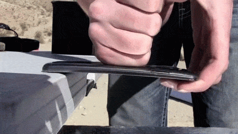 celular flexible 2