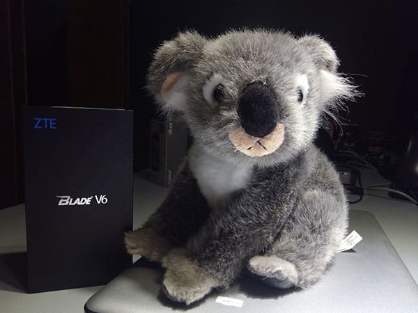 koala-zte