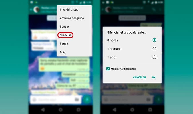 whatsapp-noti-3