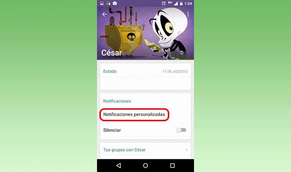 whatsapp-notifica